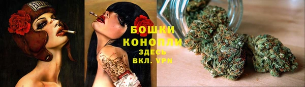мяу мяу мука Белокуриха