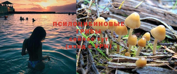 apvp Беломорск