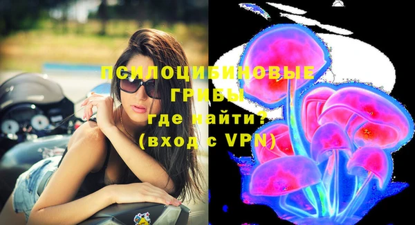 apvp Беломорск