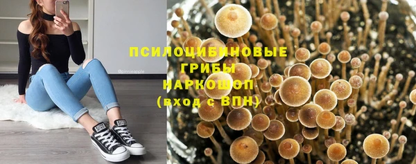 мяу мяу мука Белокуриха