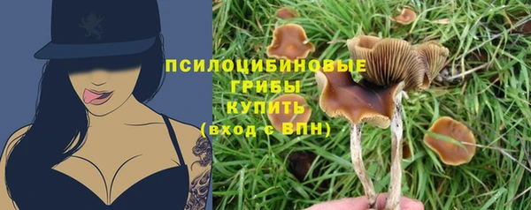 apvp Беломорск