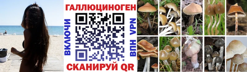 Псилоцибиновые грибы прущие грибы Павловск