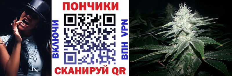 Бошки Шишки THC 21%  Павловск 